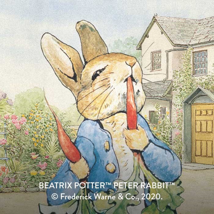 Peter Rabbit Game