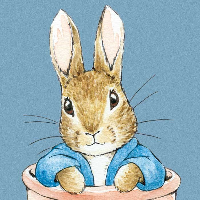 Peter Rabbit Click and Fill