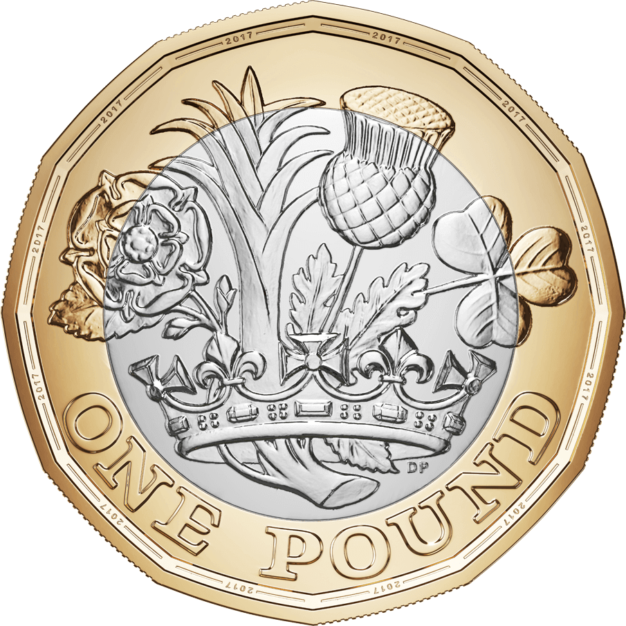 £1 pound coin